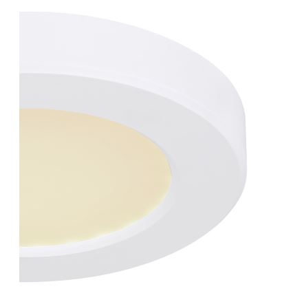 Globo - LED-kattovalaisin LED/6W/230V 3000/4000/6500K valkoinen