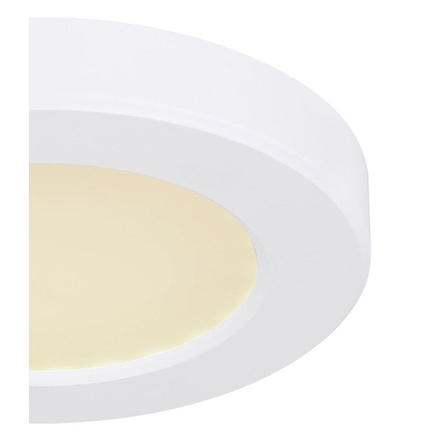 Globo - LED-kattovalaisin LED/6W/230V 3000/4000/6500K valkoinen