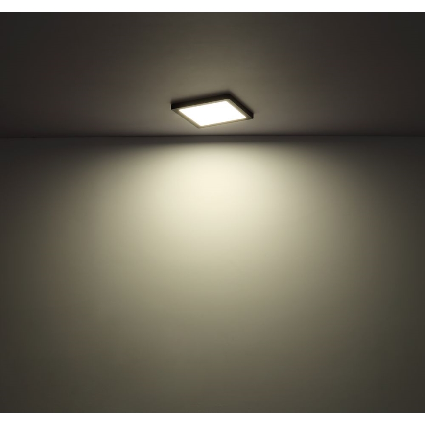 Globo - LED Kattovalo LED/24W/230V 3000/4000/6500K musta