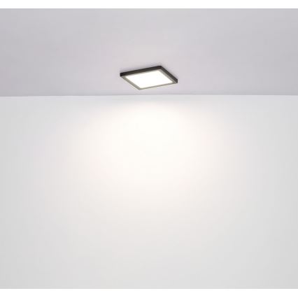 Globo - LED Kattovalo LED/24W/230V 3000/4000/6500K musta