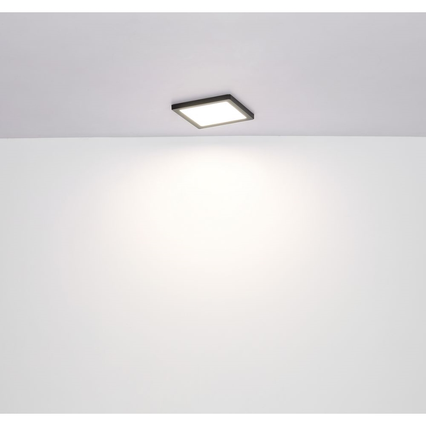 Globo - LED Kattovalo LED/24W/230V 3000/4000/6500K musta