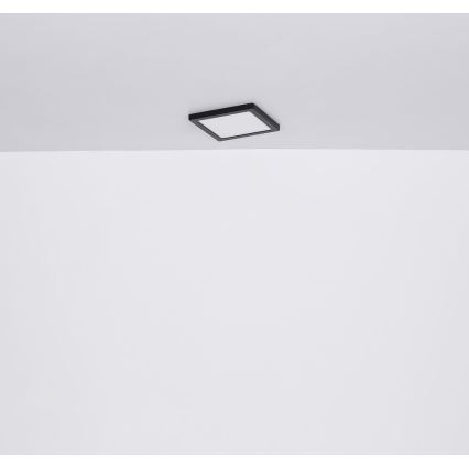 Globo - LED Kattovalo LED/24W/230V 3000/4000/6500K musta