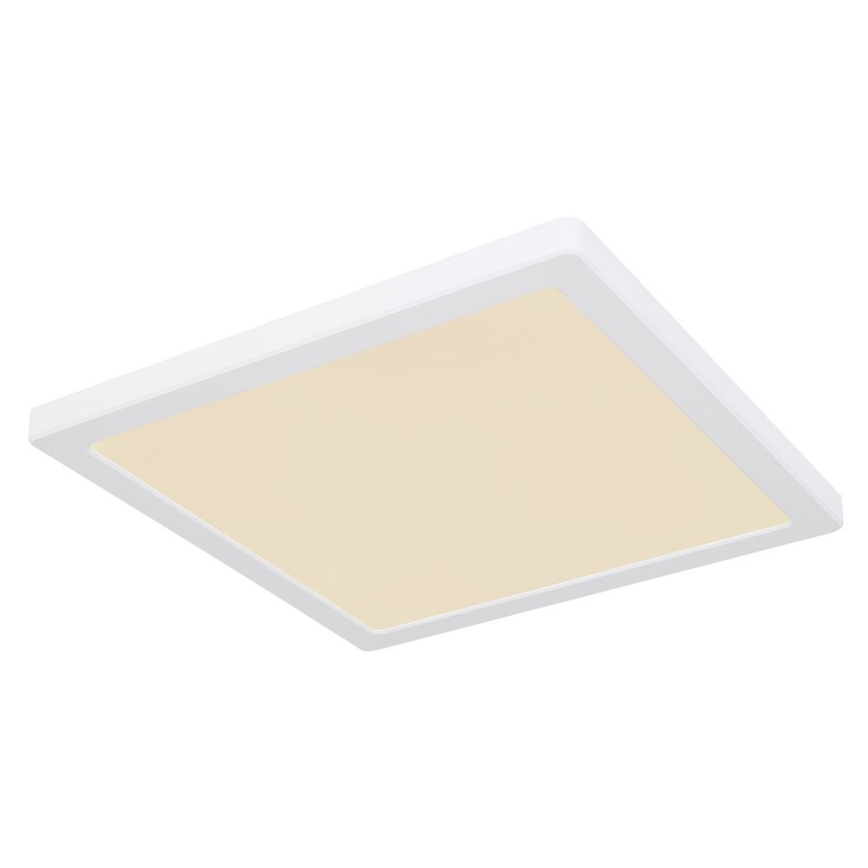 Globo - LED Kattovalo LED/24W/230V 3000/4000/6500K valkoinen
