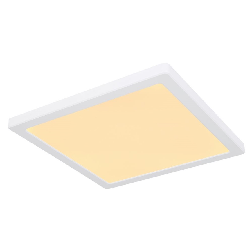 Globo - LED Kattovalo LED/24W/230V 3000/4000/6500K valkoinen