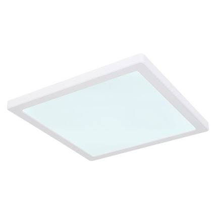 Globo - LED Kattovalo LED/24W/230V 3000/4000/6500K valkoinen