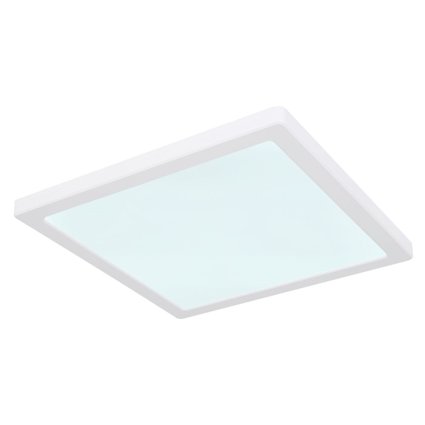 Globo - LED Kattovalo LED/24W/230V 3000/4000/6500K valkoinen