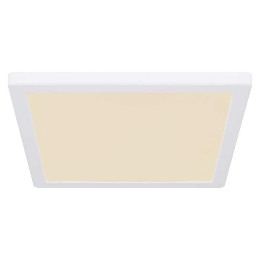 Globo - LED Kattovalo LED/24W/230V 3000/4000/6500K valkoinen