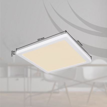 Globo - LED Kattovalo LED/24W/230V 3000/4000/6500K valkoinen