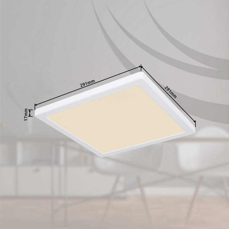 Globo - LED Kattovalo LED/24W/230V 3000/4000/6500K valkoinen