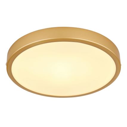 Globo - LED-kattovalaisin LED/15W/230V halkaisija 25 cm