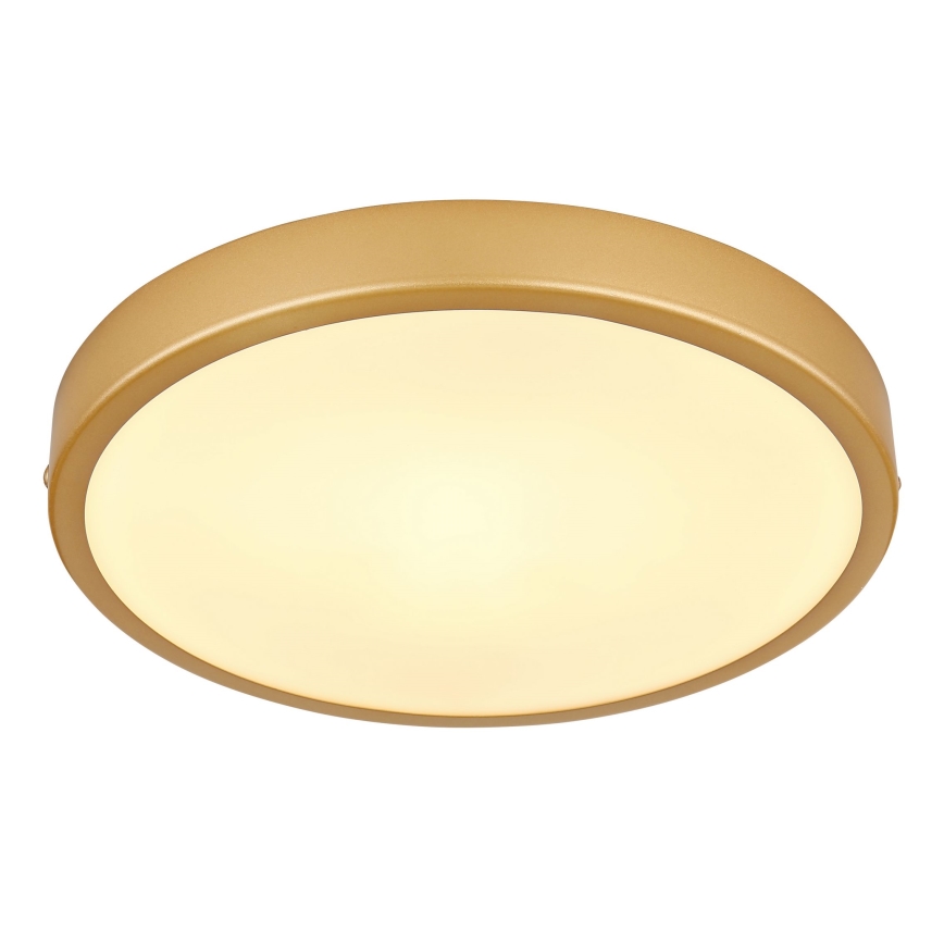 Globo - LED-kattovalaisin LED/15W/230V halkaisija 25 cm