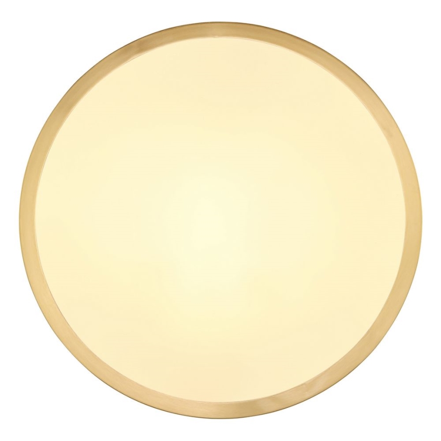 Globo - LED-kattovalaisin LED/15W/230V halkaisija 25 cm