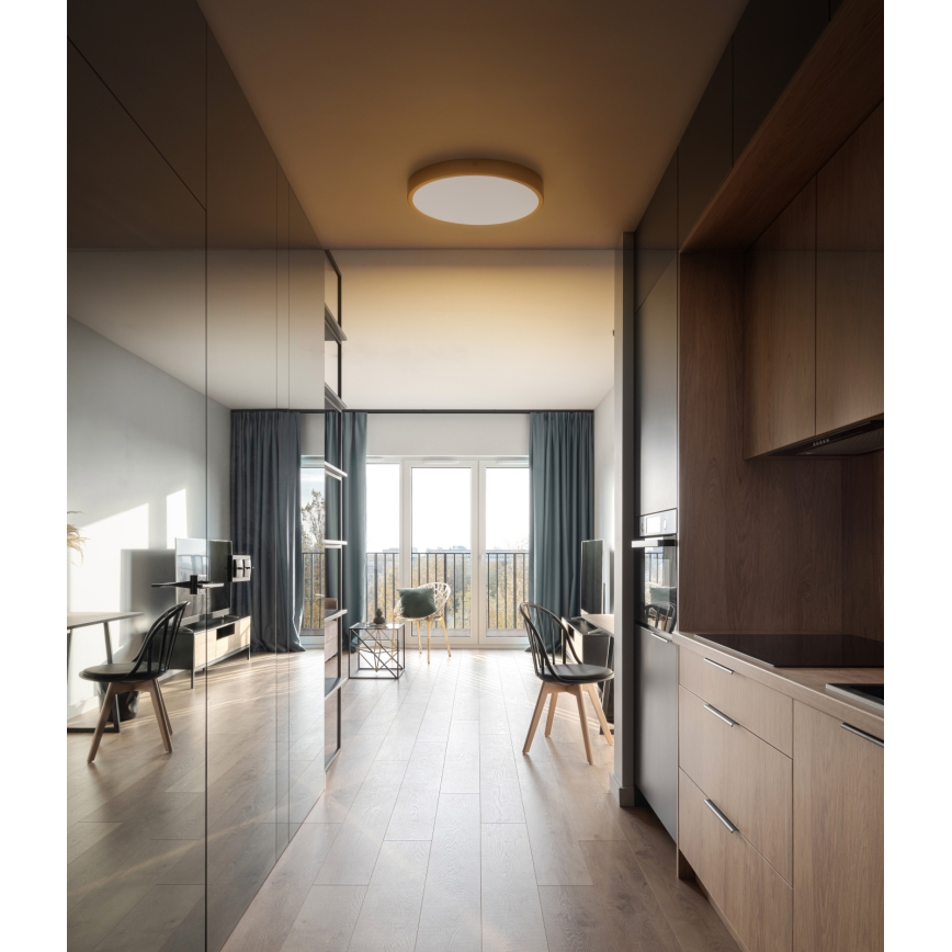 Globo - LED-kattovalaisin LED/22W/230V halkaisija 35 cm