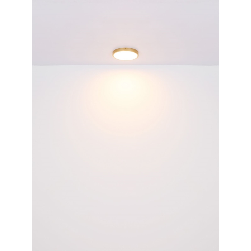 Globo - LED-kattovalaisin LED/22W/230V halkaisija 35 cm