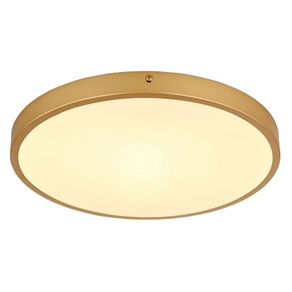 Globo - LED-kattovalaisin LED/22W/230V halkaisija 35 cm