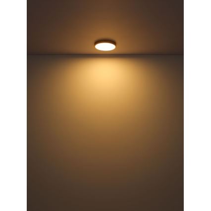 Globo - LED-kattovalaisin LED/30W/230V halkaisija 45 cm