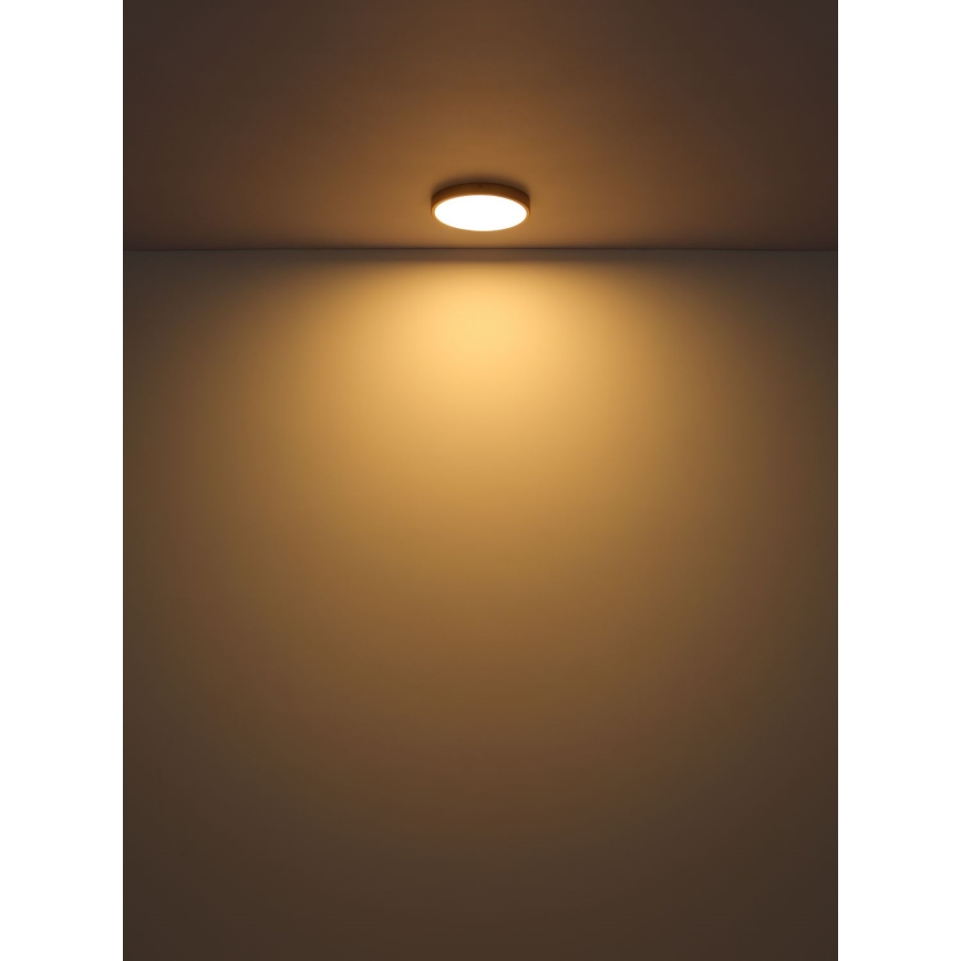 Globo - LED-kattovalaisin LED/30W/230V halkaisija 45 cm