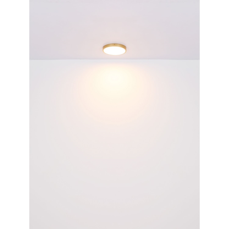 Globo - LED-kattovalaisin LED/30W/230V halkaisija 45 cm