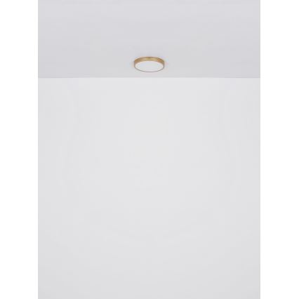 Globo - LED-kattovalaisin LED/30W/230V halkaisija 45 cm