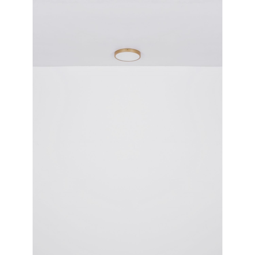 Globo - LED-kattovalaisin LED/30W/230V halkaisija 45 cm