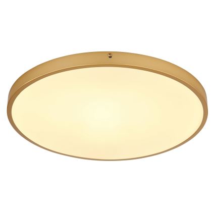 Globo - LED-kattovalaisin LED/30W/230V halkaisija 45 cm