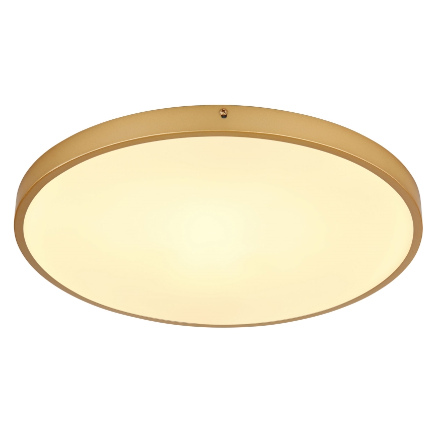 Globo - LED-kattovalaisin LED/30W/230V halkaisija 45 cm
