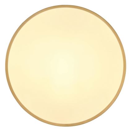 Globo - LED-kattovalaisin LED/30W/230V halkaisija 45 cm