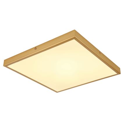 Globo - LED-kattovalaisin LED/22W/230V 35x35 cm