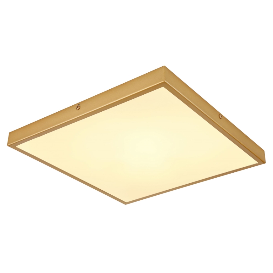 Globo - LED-kattovalaisin LED/22W/230V 35x35 cm