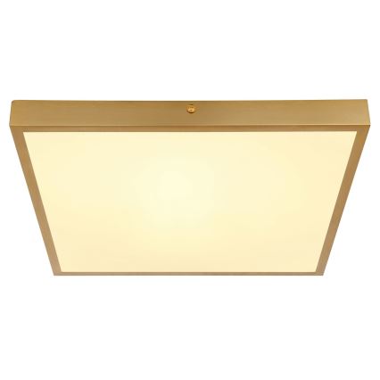 Globo - LED-kattovalaisin LED/22W/230V 35x35 cm