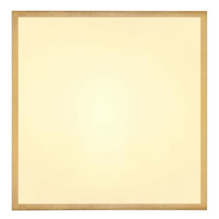 Globo - LED-kattovalaisin LED/22W/230V 35x35 cm