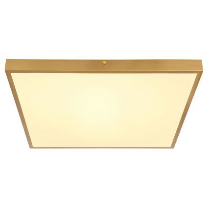 Globo - LED-kattovalaisin LED/30W/230V 45x45 cm