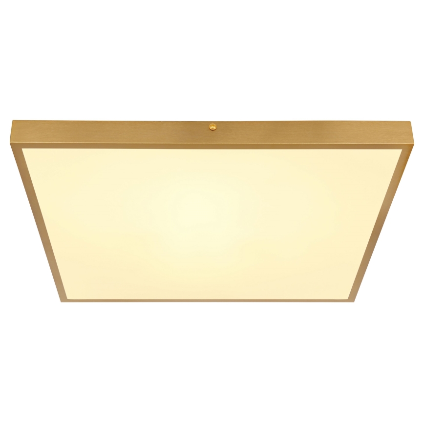 Globo - LED-kattovalaisin LED/30W/230V 45x45 cm