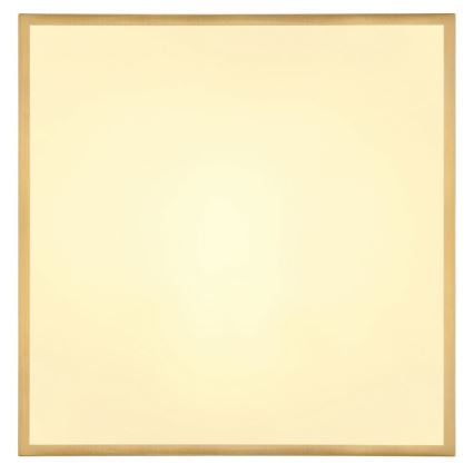 Globo - LED-kattovalaisin LED/30W/230V 45x45 cm