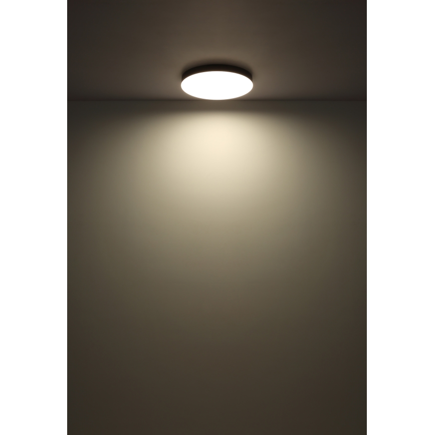 Globo - LED-kattovalaisin LED/24W/230V 3000K/4000K/6500K halkaisija 30 cm valkoinen