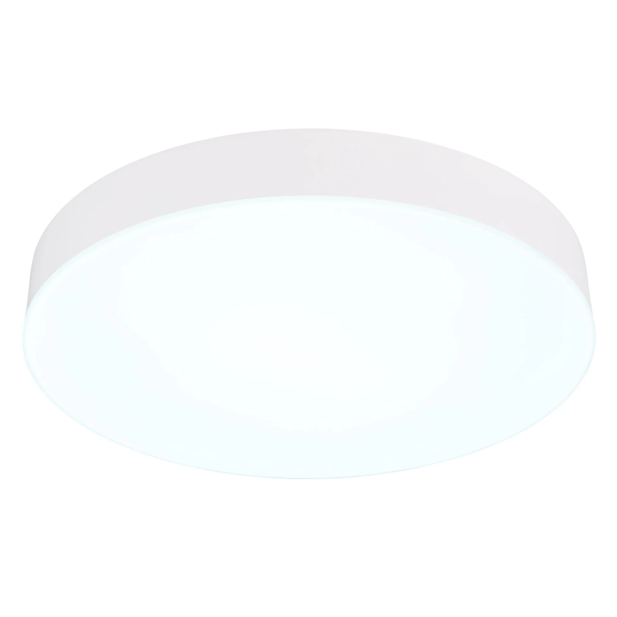 Globo - LED-kattovalaisin LED/24W/230V 3000K/4000K/6500K halkaisija 30 cm valkoinen