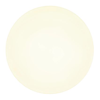 Globo - LED-kattovalaisin LED/24W/230V 3000K/4000K/6500K halkaisija 30 cm valkoinen