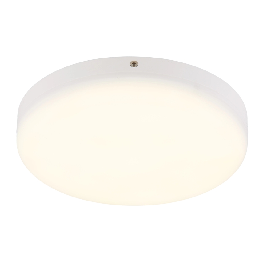 Globo - LED-kattovalaisin LED/12W/230V 4000K halkaisija 22 cm valkoinen