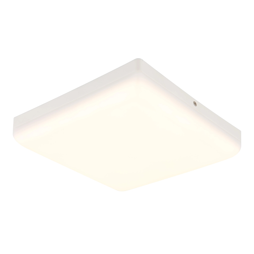 Globo - LED-kattovalaisin LED/12W/230V 4000K 22x22 cm valkoinen