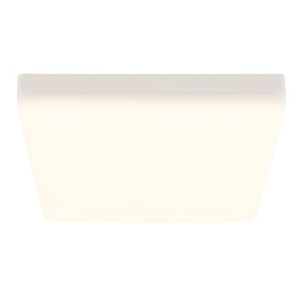 Globo - LED-kattovalaisin LED/12W/230V 4000K 22x22 cm valkoinen