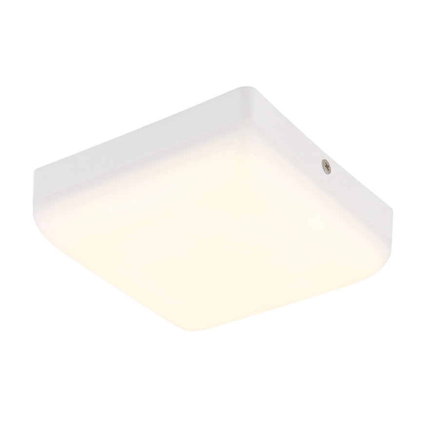 Globo - LED-kattovalaisin LED/8W/230V 4000K 12x12 cm valkoinen