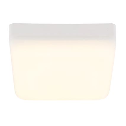 Globo - LED-kattovalaisin LED/8W/230V 4000K 12x12 cm valkoinen