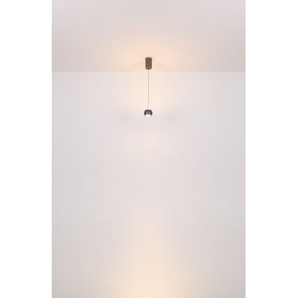 Globo - LED-kattokruunu johdossa LED/6W/230V