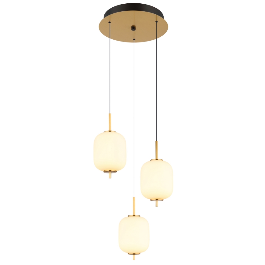 Globo - LED-kattokruunu johdossa LED/20W/230V