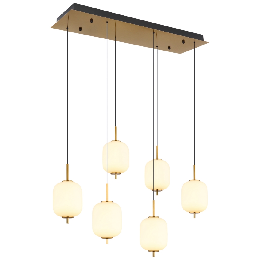 Globo - LED-kattokruunu johdossa 6xLED/6,7W/230V