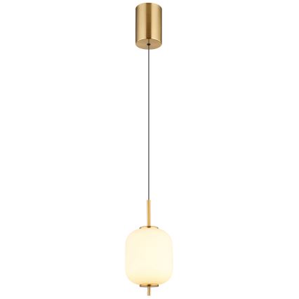 Globo - LED-kattokruunu johdossa LED/7W/230V