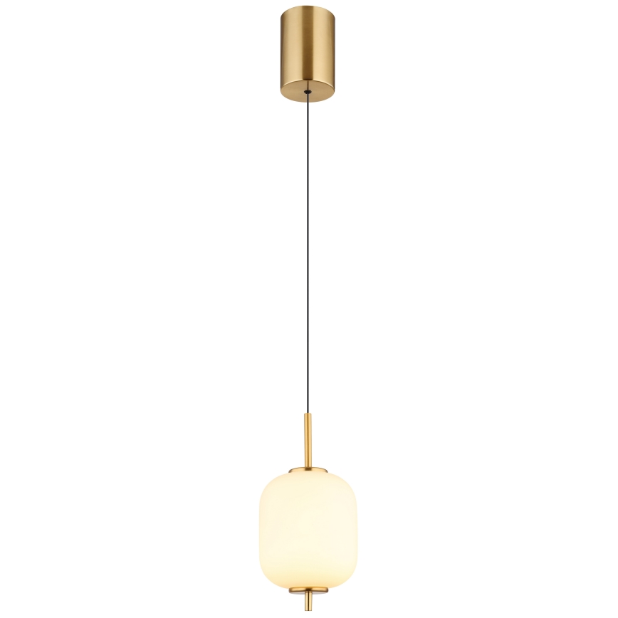 Globo - LED-kattokruunu johdossa LED/7W/230V