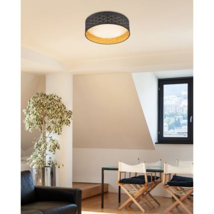 Globo - LED-kattovalaisin LED/18W/230V