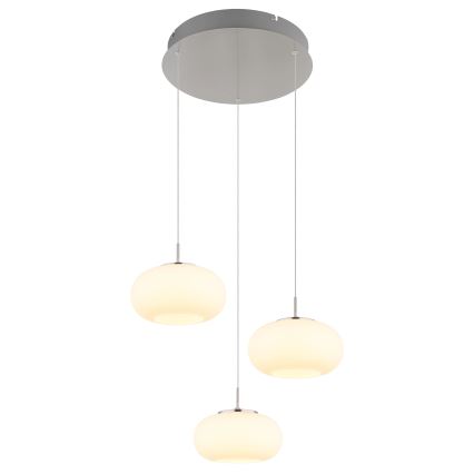 Globo - LED-kattokruunu johdossa 3xLED/6W/230V
