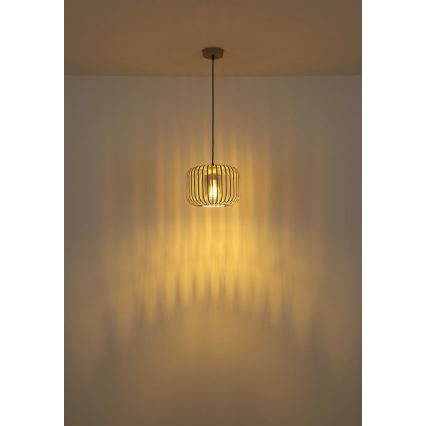 Globo - Riippuvalaisin vaijerilla 1xE27/40W/230V Ø 28 cm